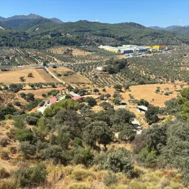 Продажа фермы в Monda