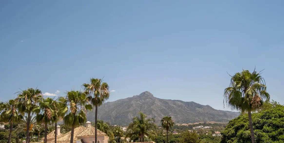 Sale of detached villa in Nueva Andalucía 57