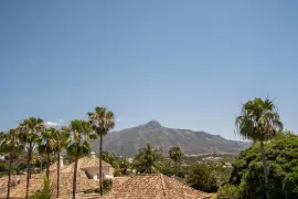 Image 74 thumb