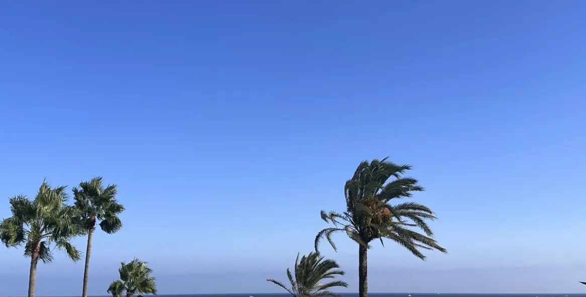 Venta de villa independiente en Puerto Banús 43