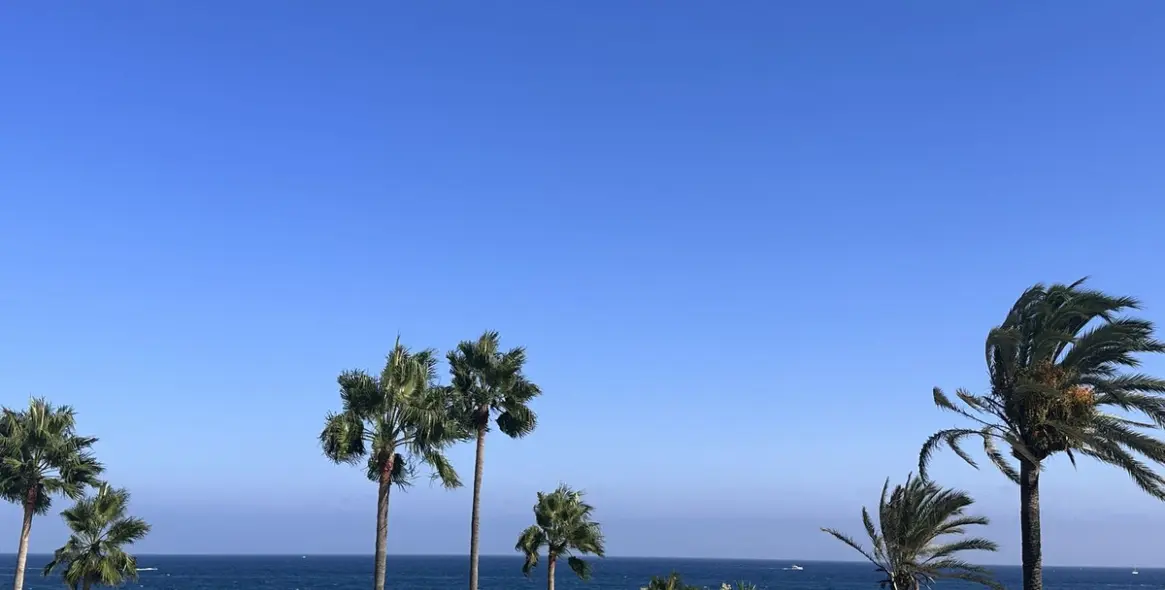 Venta de villa independiente en Puerto Banús 44