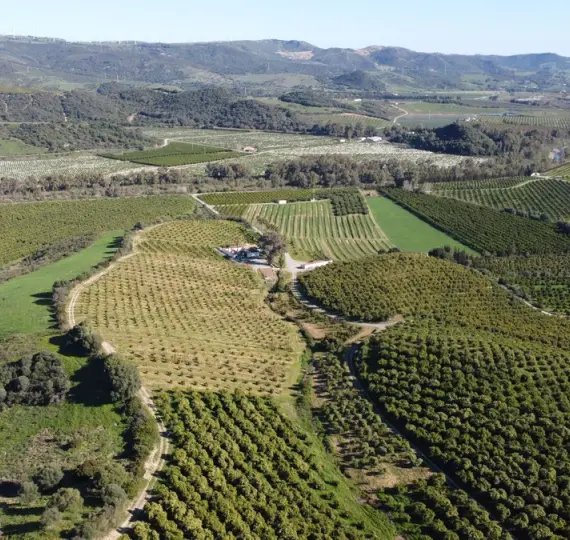 Продажа  жилого участка в Casares