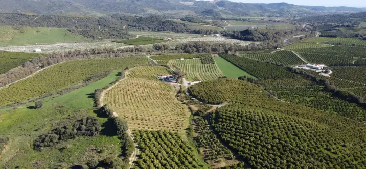 Продажа  жилого участка в Casares 0