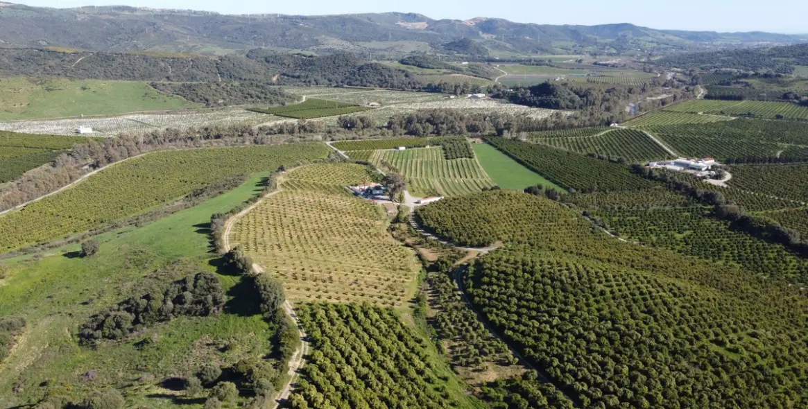 Sale of residential plot in Casares 2