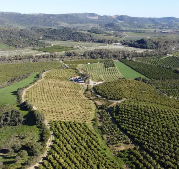 Продажа  жилого участка в Casares