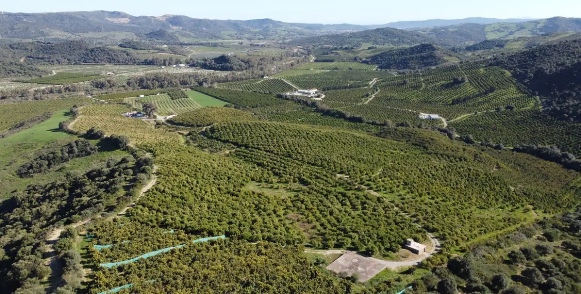 Sale of residential plot in Casares 3