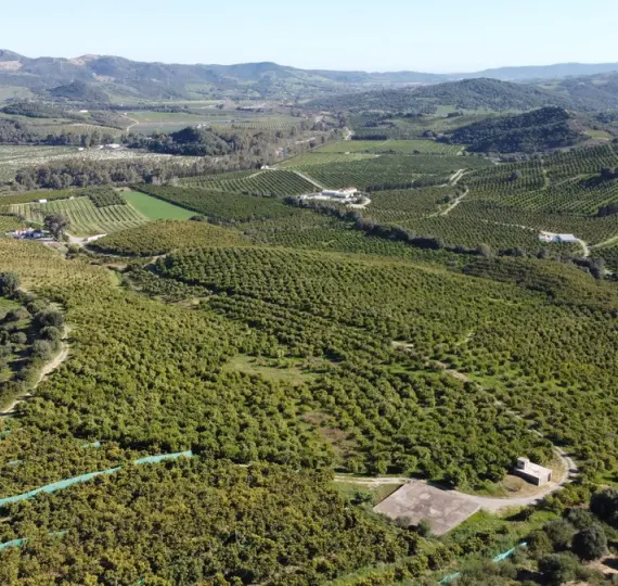 Продажа  жилого участка в Casares