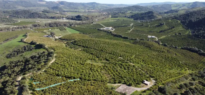 Продажа  жилого участка в Casares 2