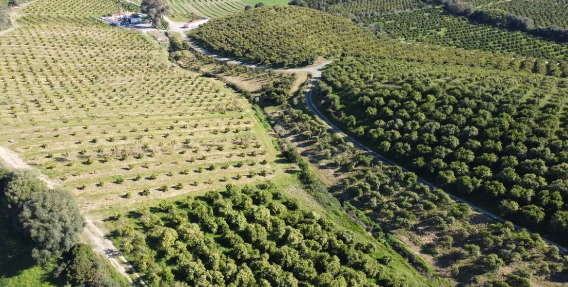 Sale of residential plot in Casares 5