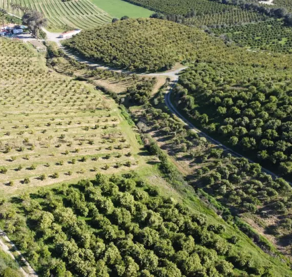 Продажа  жилого участка в Casares