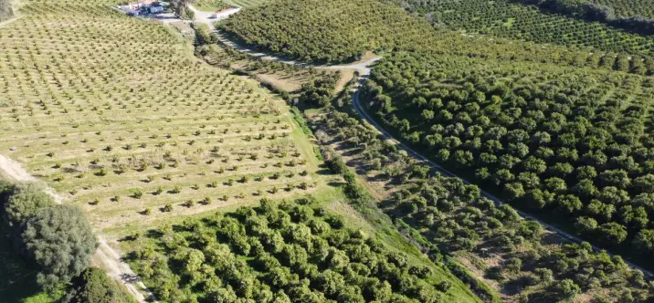 Продажа  жилого участка в Casares 4