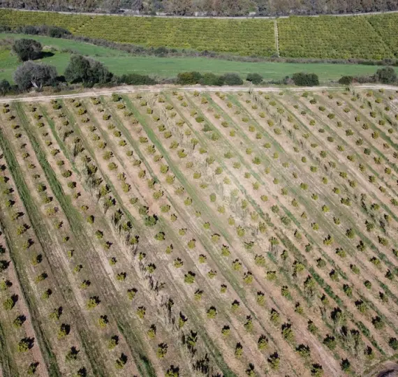 Продажа  жилого участка в Casares