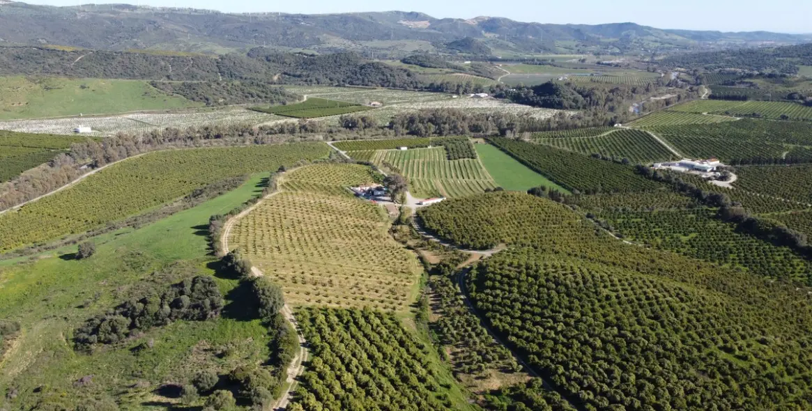 Sale of residential plot in Casares 7