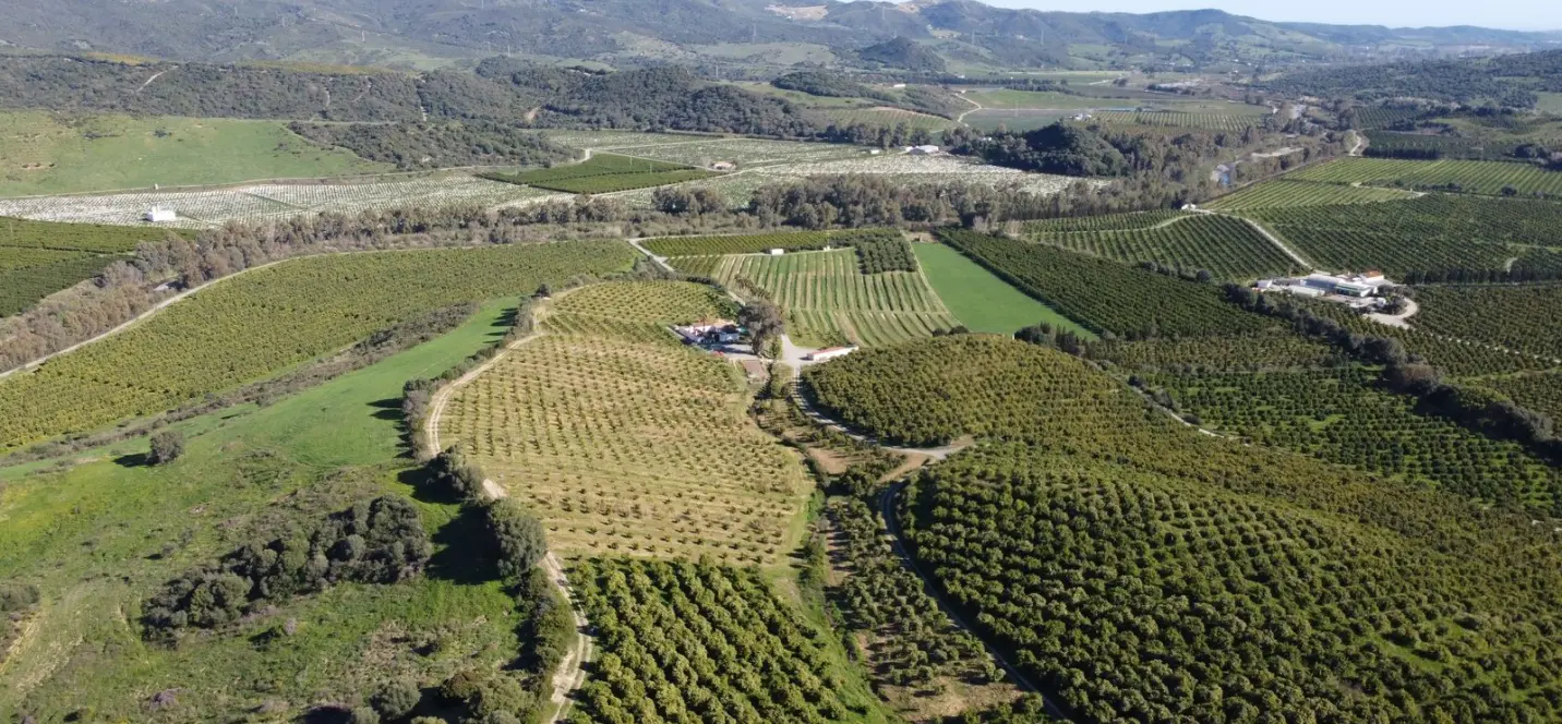 Sale of residential plot in Casares 0