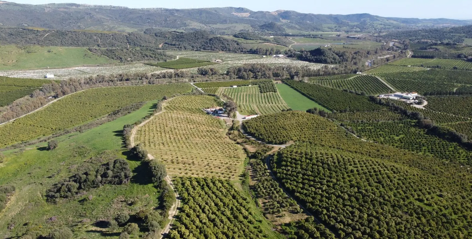 Sale of residential plot in Casares 2