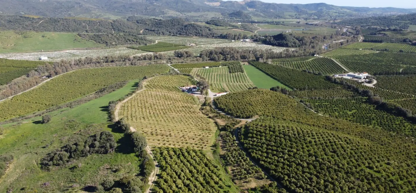 Sale of residential plot in Casares 1