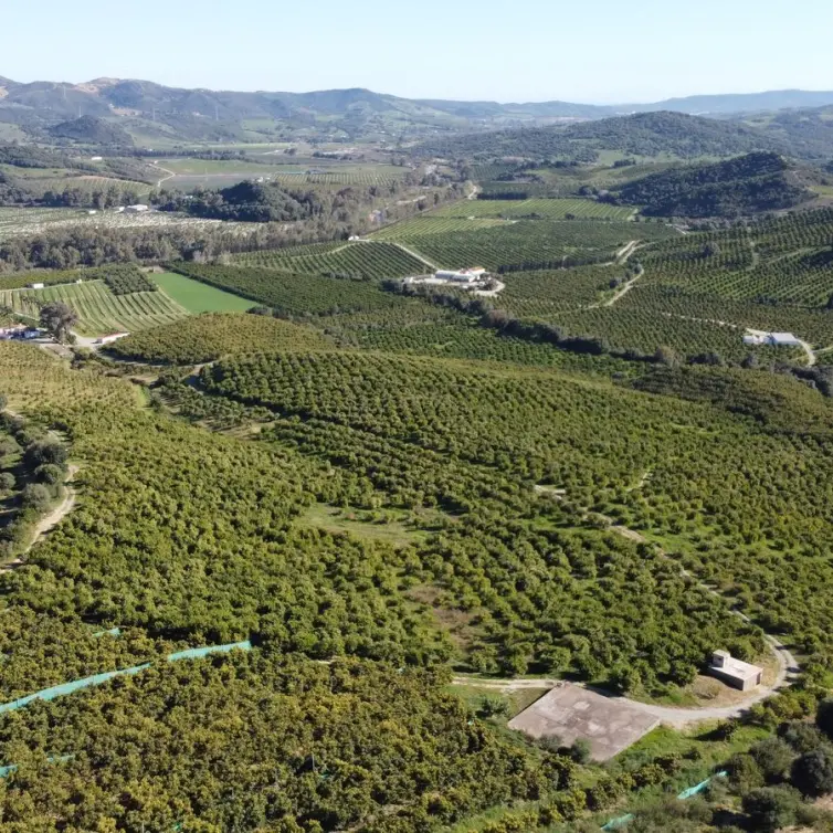 Sale of residential plot in Casares
