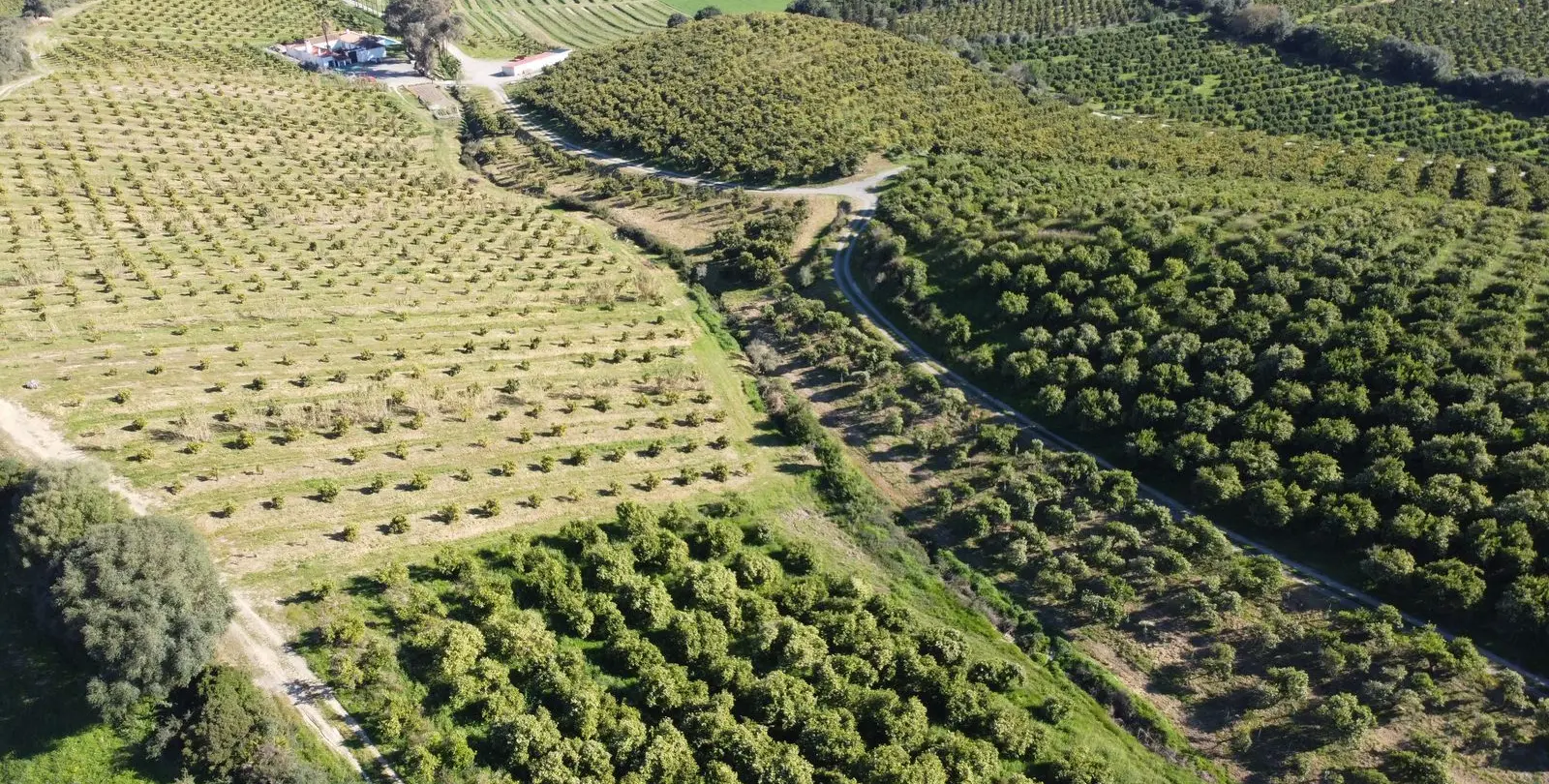 Sale of residential plot in Casares 5