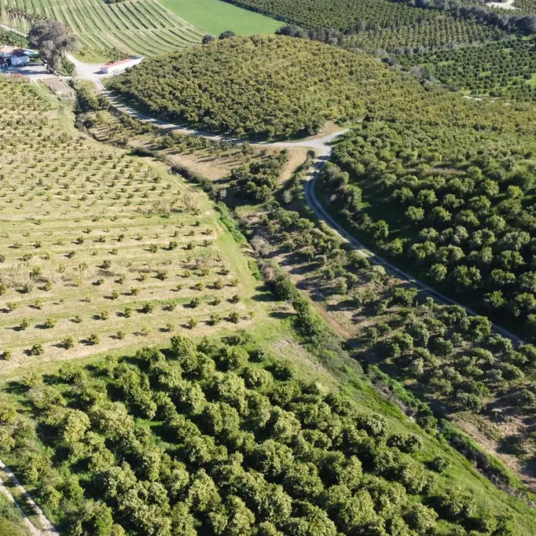 Sale of residential plot in Casares