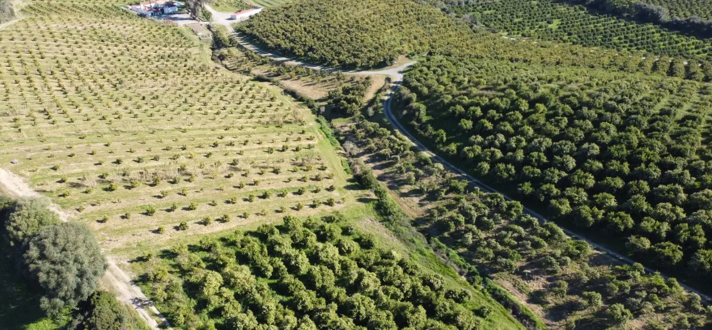 Sale of residential plot in Casares 4