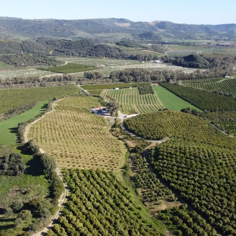 Sale of residential plot in Casares