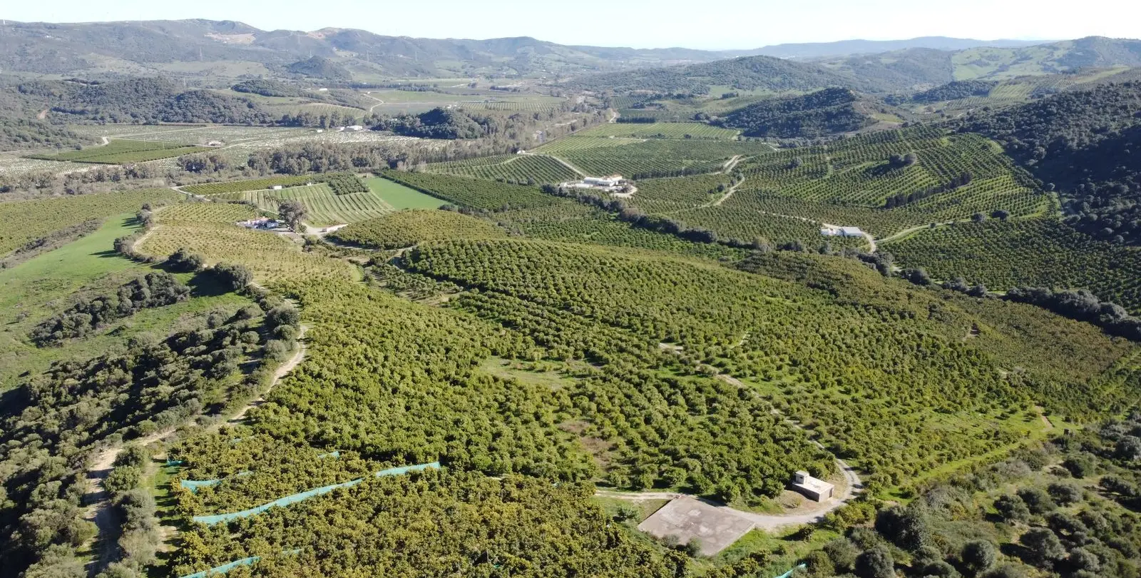 Продажа  жилого участка в Casares 9