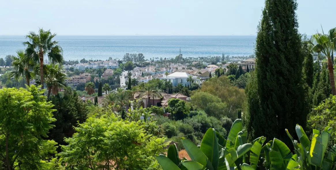 Продажа  отдельно стоящей виллы в Los Flamingos 31