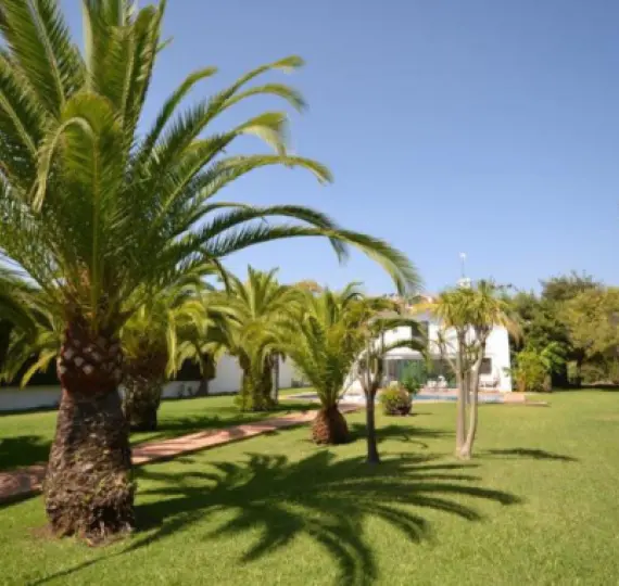 Продажа  отдельно стоящей виллы в Guadalmina Baja