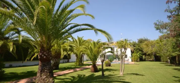 Продажа  отдельно стоящей виллы в Guadalmina Baja 2