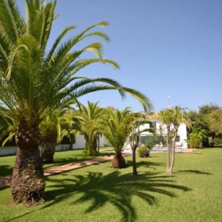 Venta de villa independiente en Guadalmina Baja