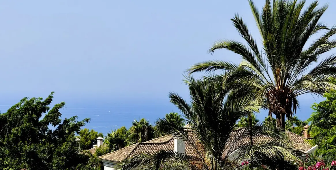 Продажа  отдельно стоящей виллы в Marbella (район Sierra Blanca) 1