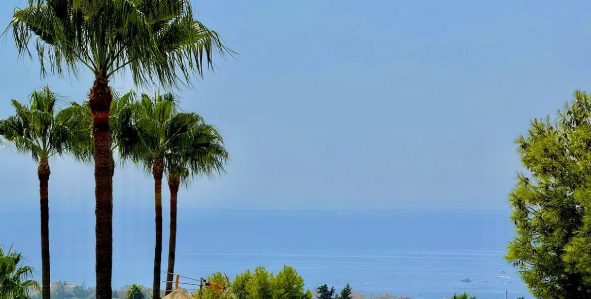 Продажа  отдельно стоящей виллы в Marbella (район Sierra Blanca) 6