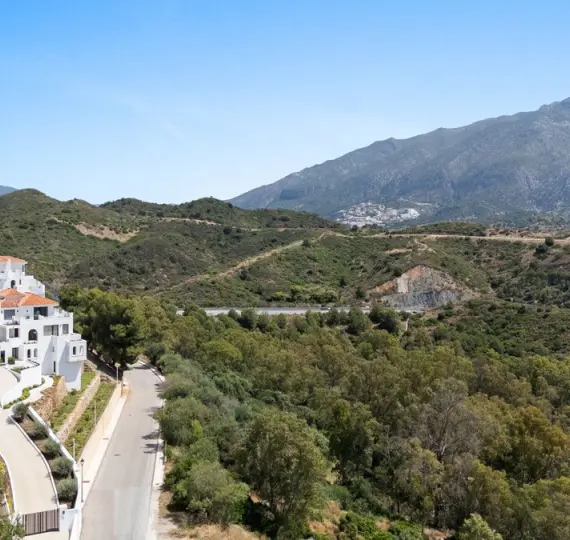 Продажа  отдельно стоящей виллы в Nueva Andalucía