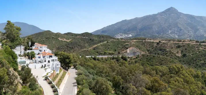 Продажа  отдельно стоящей виллы в Nueva Andalucía 2