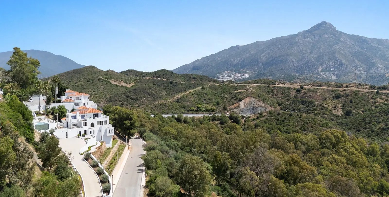 Sale of detached villa in Nueva Andalucía 5