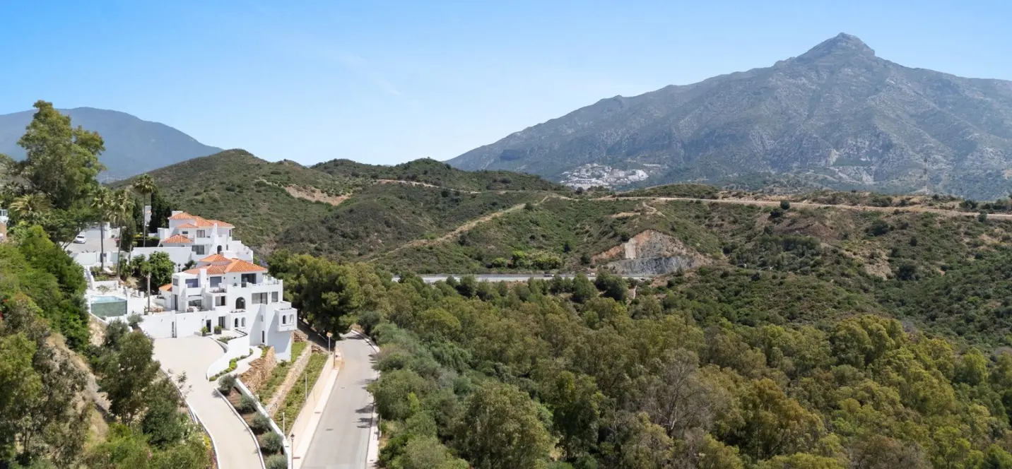 Sale of detached villa in Nueva Andalucía 4