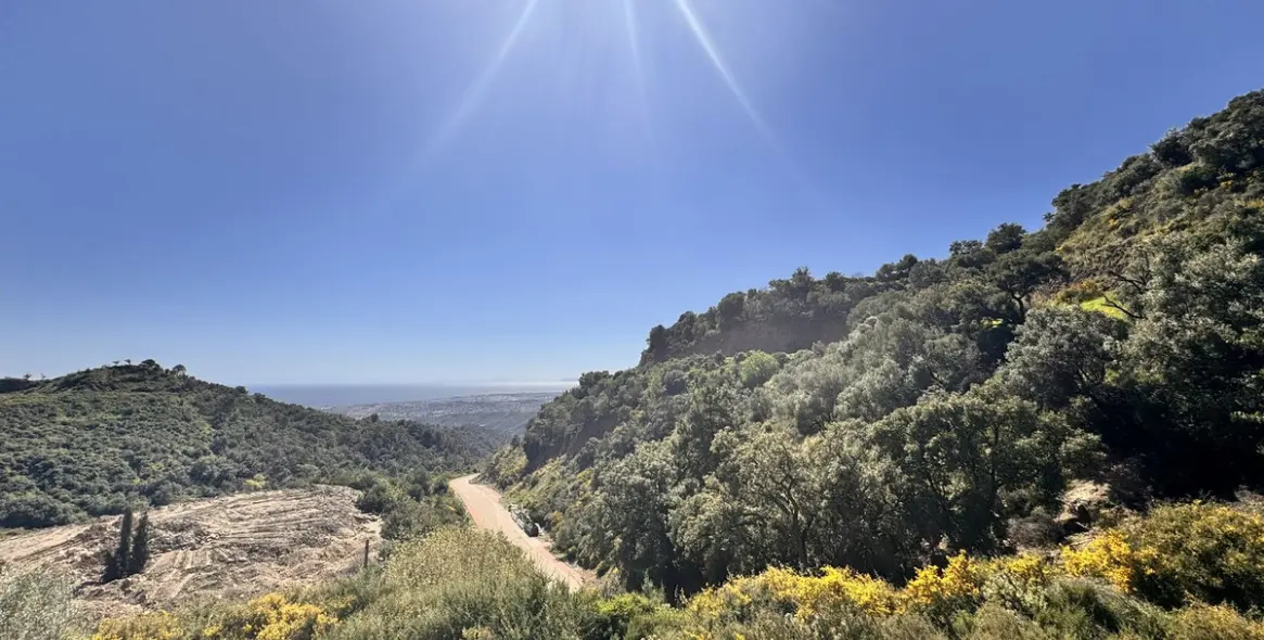 Sale of residential plot in Istán 9