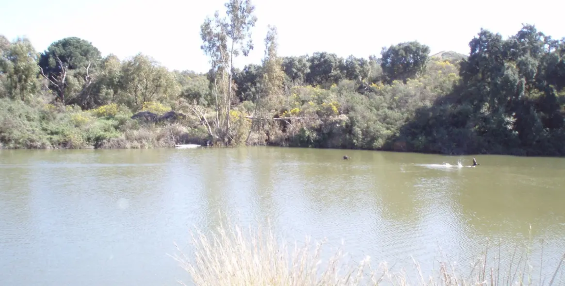 Sale of residential plot in Mijas 1