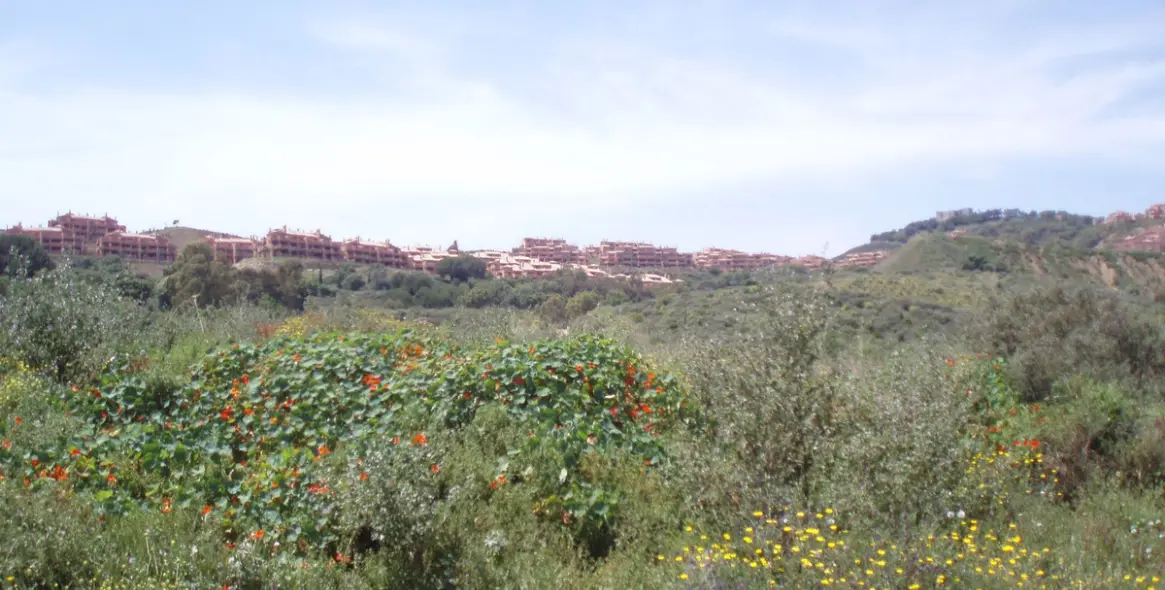Sale of residential plot in Mijas 3