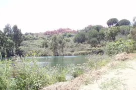 Image 4 thumb