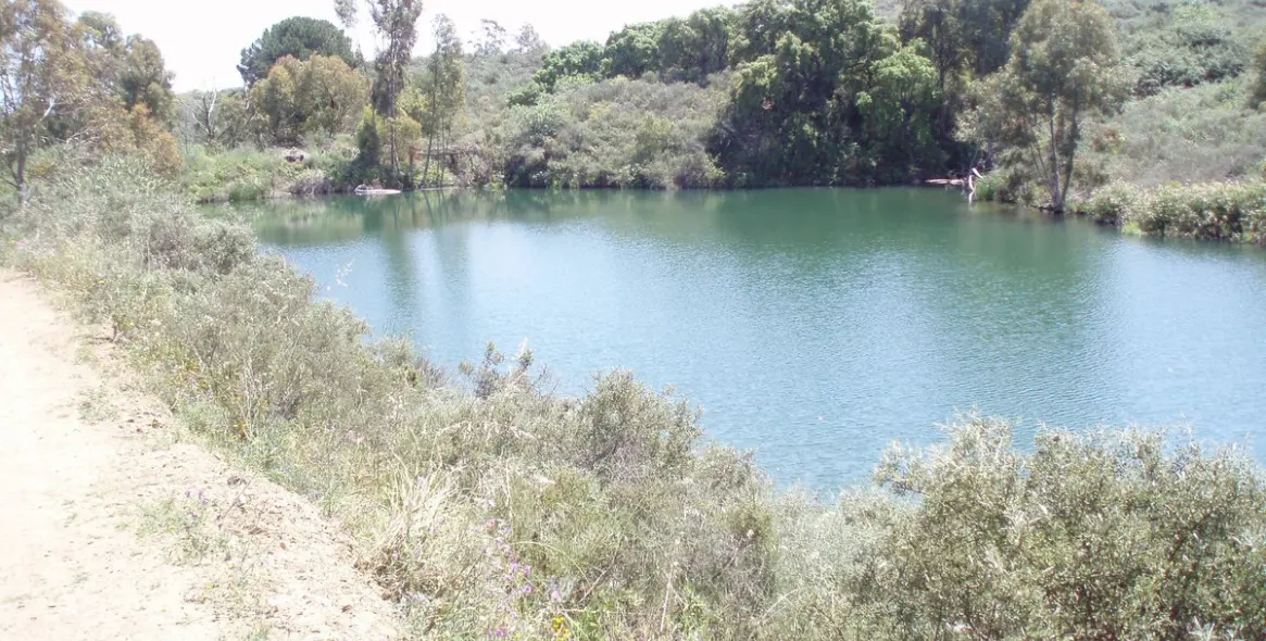 Sale of residential plot in Mijas 5