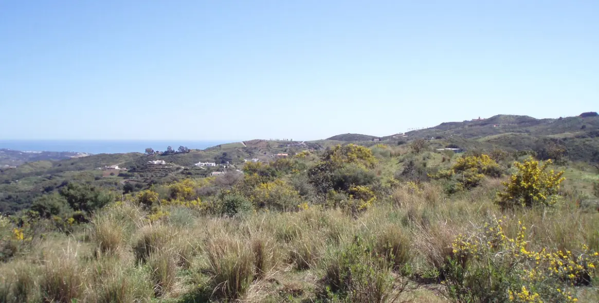 Sale of residential plot in Mijas 7