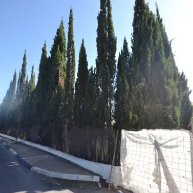 Venta de parcela residencial en Sierra Blanca