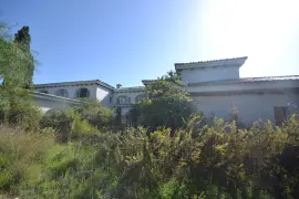 Image 5 thumb