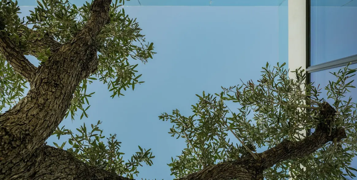 Sale of semi-detached house in Marbella 31