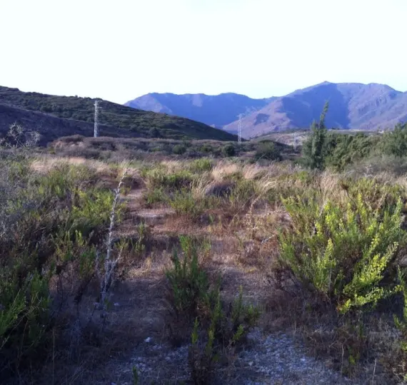 Sale of residential plot in Casares