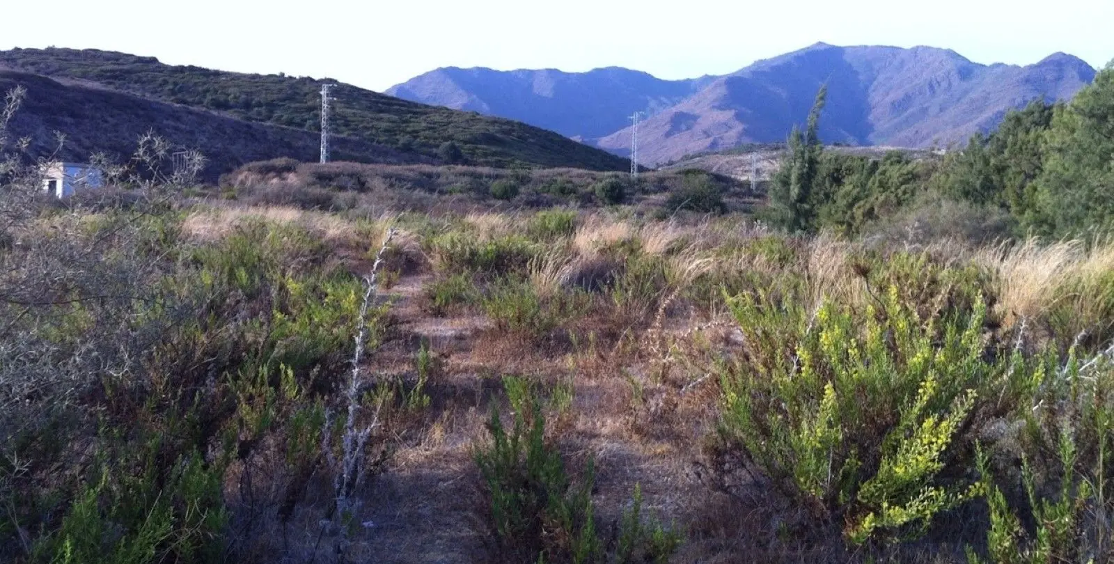 Sale of residential plot in Casares 5