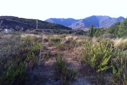 Image 5 thumb
