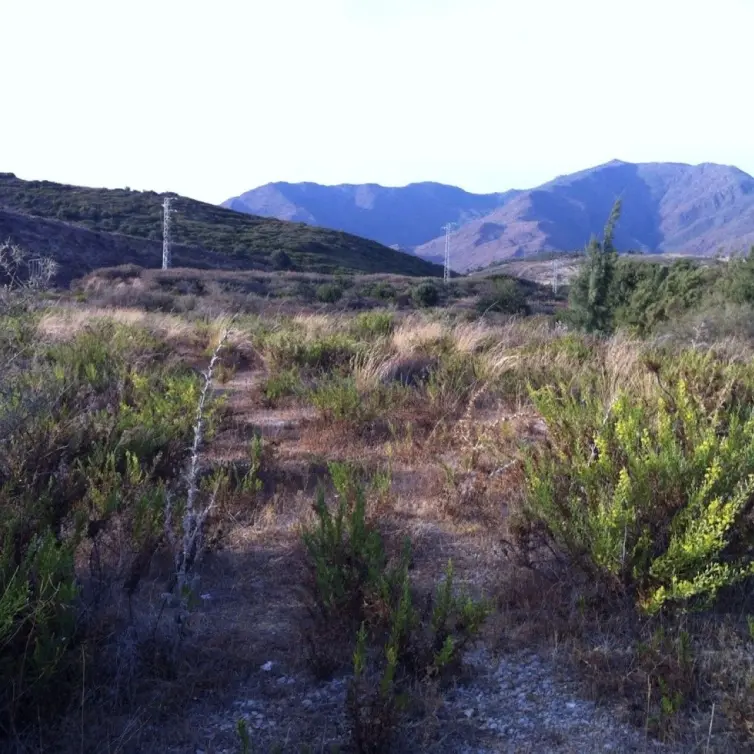 Sale of residential plot in Casares