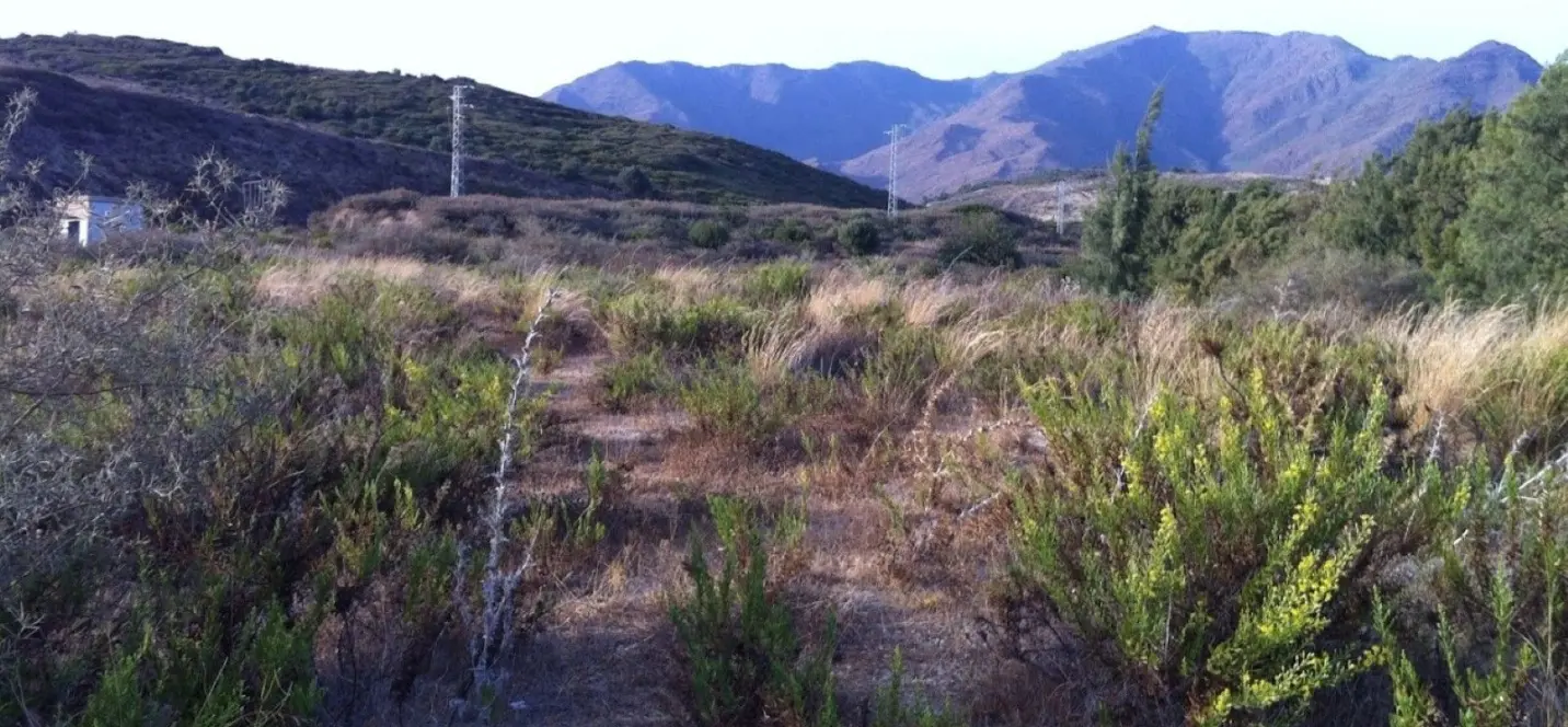 Sale of residential plot in Casares 4